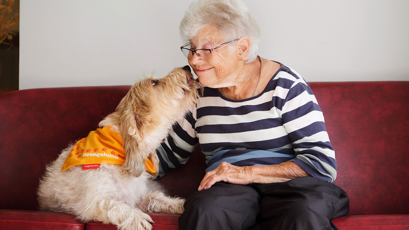 Besøgshunden Elvis i sofa med smilende ældre kvinde