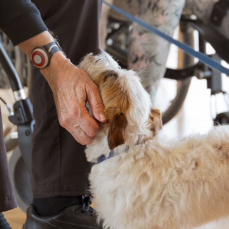 Mand i kørestol kæler med hund