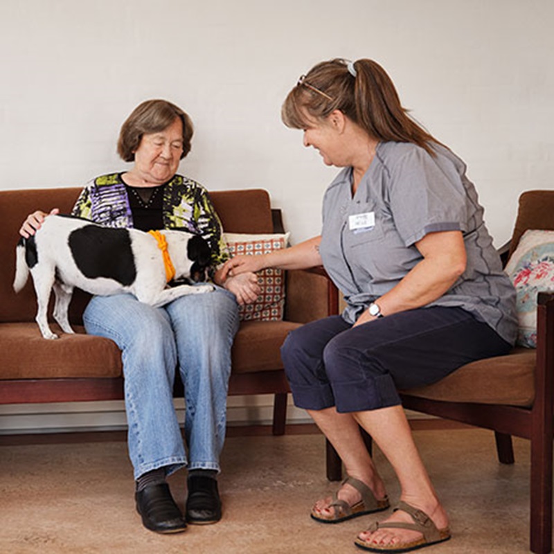 Beboer i sofa med hund på skødet med personale ved siden af
