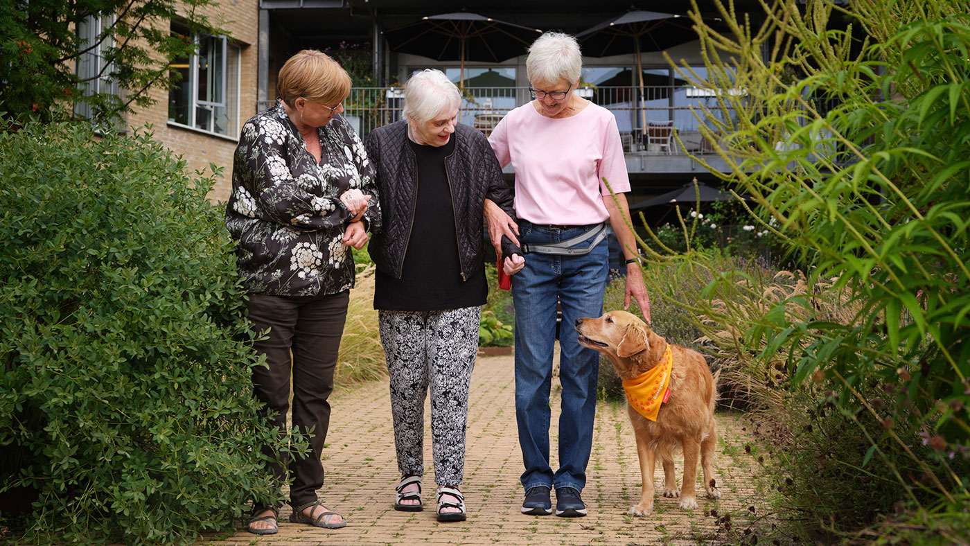 Besøgshunden Liva og hendes ejer Ulla går en tur i plejehjemmets have sammen med en beboer og en medarbejder.