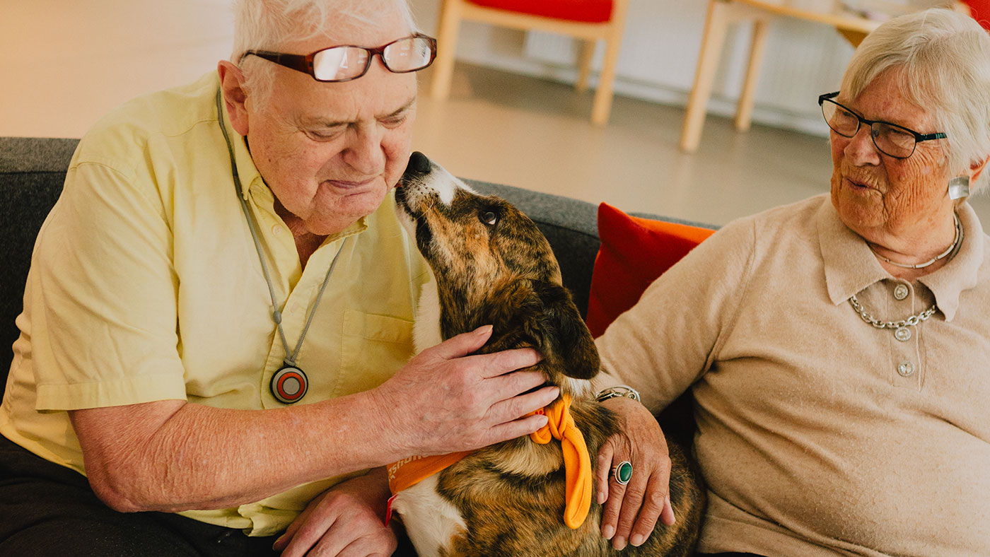 To beboere sidder i en sofa med corgien Ilse imellem sig. Ilse slikker den ene på kinden.