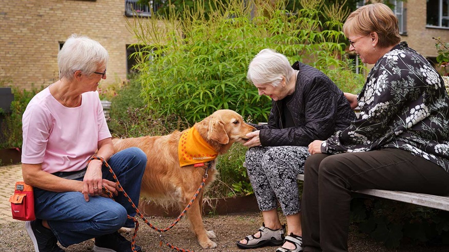 Første besøg på plejehjem