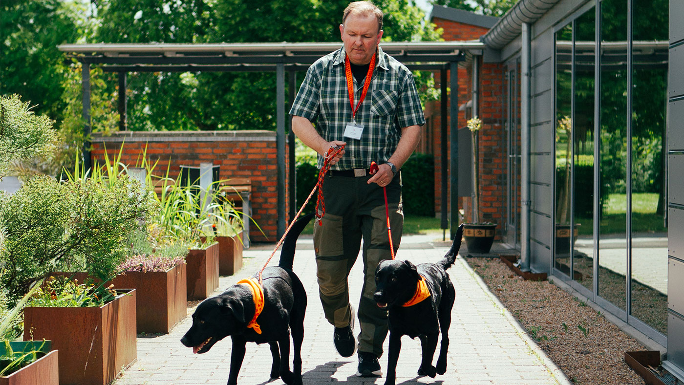 Besøgshundeejer Jesper går med besøgshundene Freddy og Basse i snor