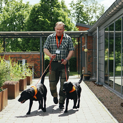 Besøgshundeejer Jesper går med besøgshundene Freddy og Basse i snor