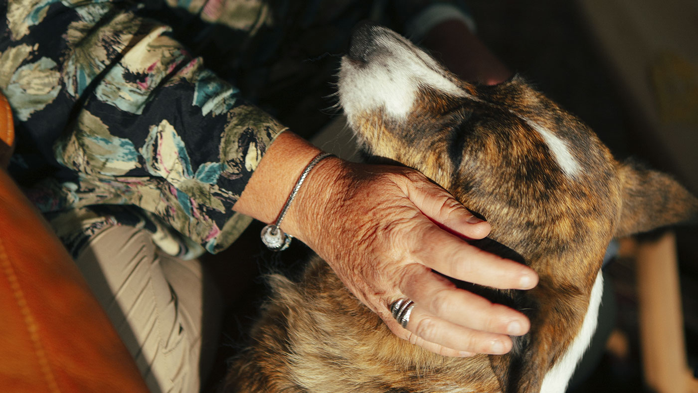 Ejer og hund kæler i sofaen derhjemme